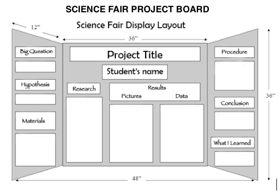 science fair poster board setup