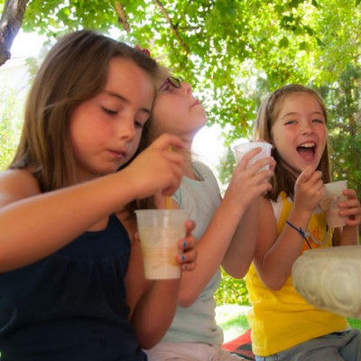 Play & Freeze Ice Cream Maker Ball Camping Picnic Parties 1 Pint Green