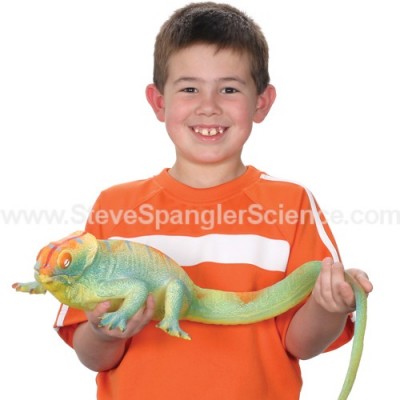 Top 10 Science Stocking Stuffers Under $10 | Giant Growing Lizard $4.99 | Steve Spangler Science