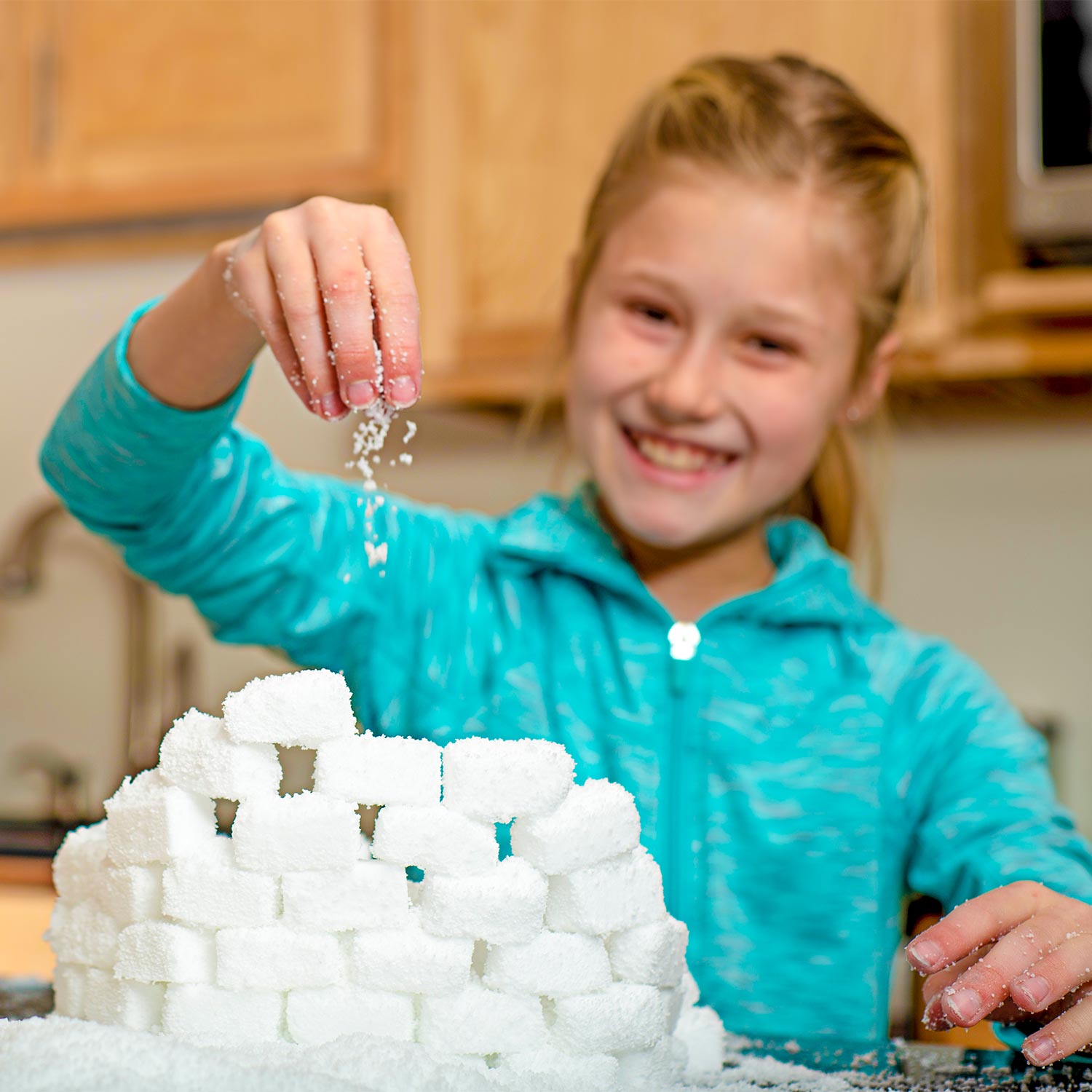 Insta Snow Powder Steve Spangler Science