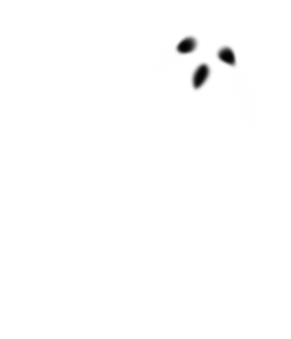 ghost 4